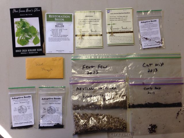 Today's Seeds