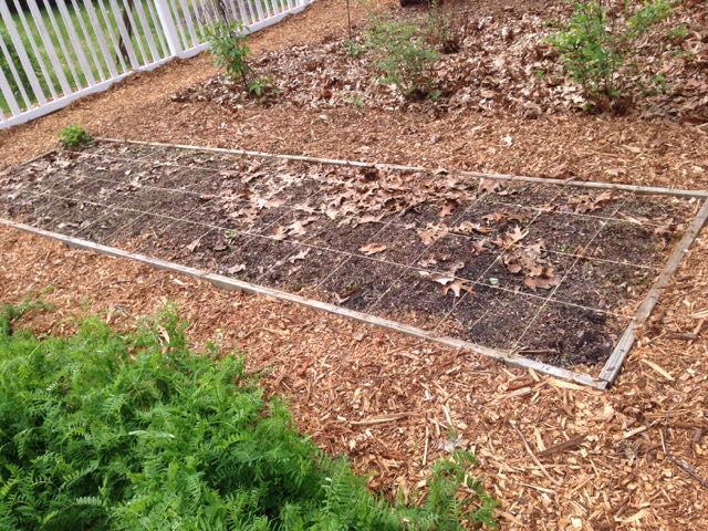 First Square Foot Garden