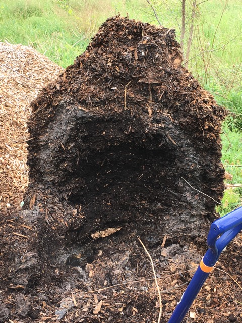 Compost Pile