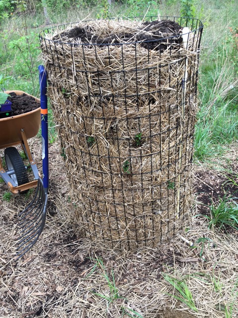 The Forest Garden Design and Care