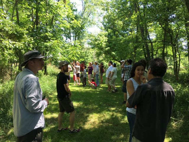 Mid-Atlantic Permaculture Convergence Review - Plant Walk
