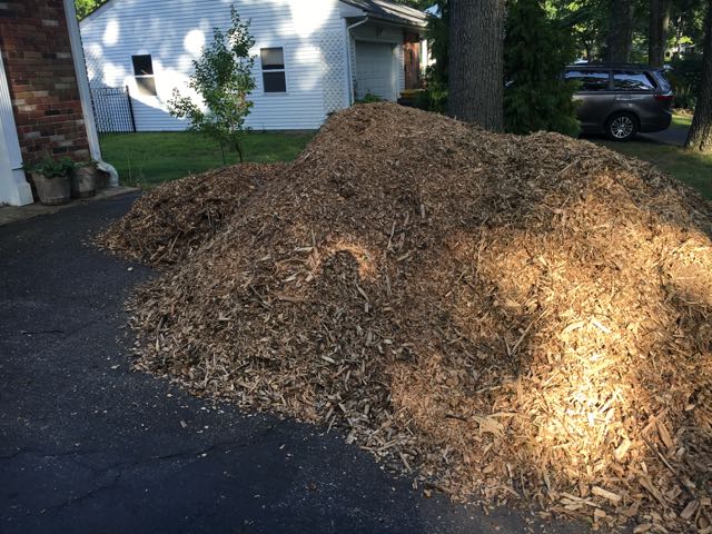 How to get Free Wood Mulch from Tree Trimmers