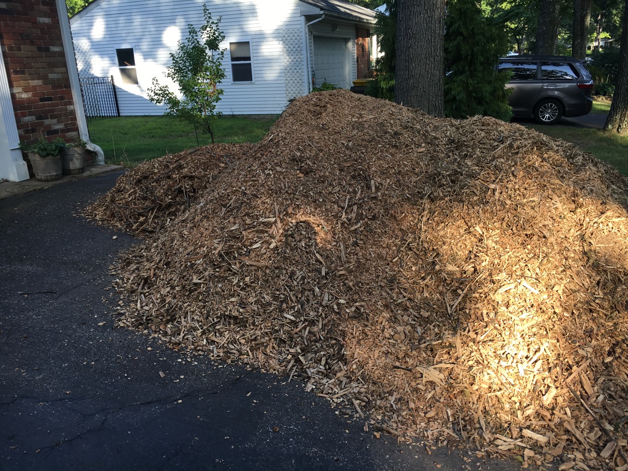 Free Mulch