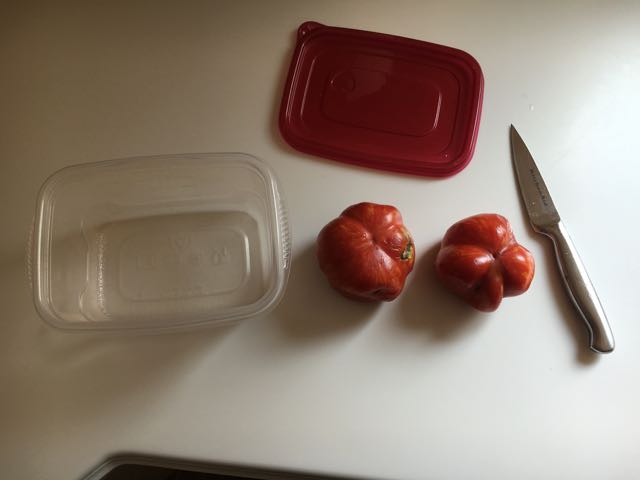 Tomato Seed Saving