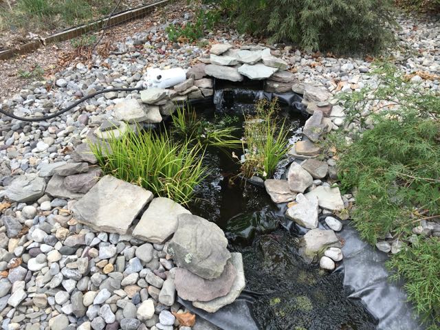 How to Prepare a Fish Pond for Winter