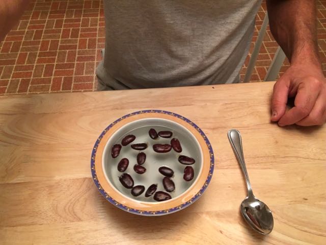 How To Collect Save And Store Paw Paw Seeds Great Escape Farms