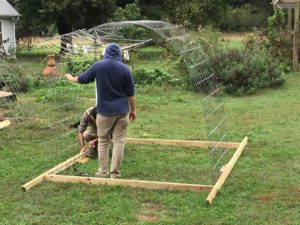 How to build a Cost Effective DIY Cheap Greenhouse