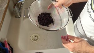 Preparing Elderberries for Recipes