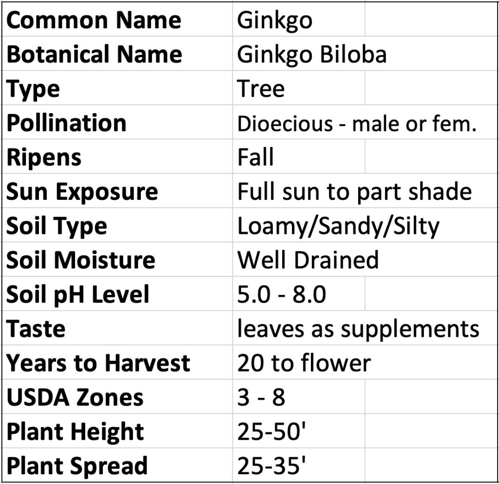 Ginkgo biloba for Sale