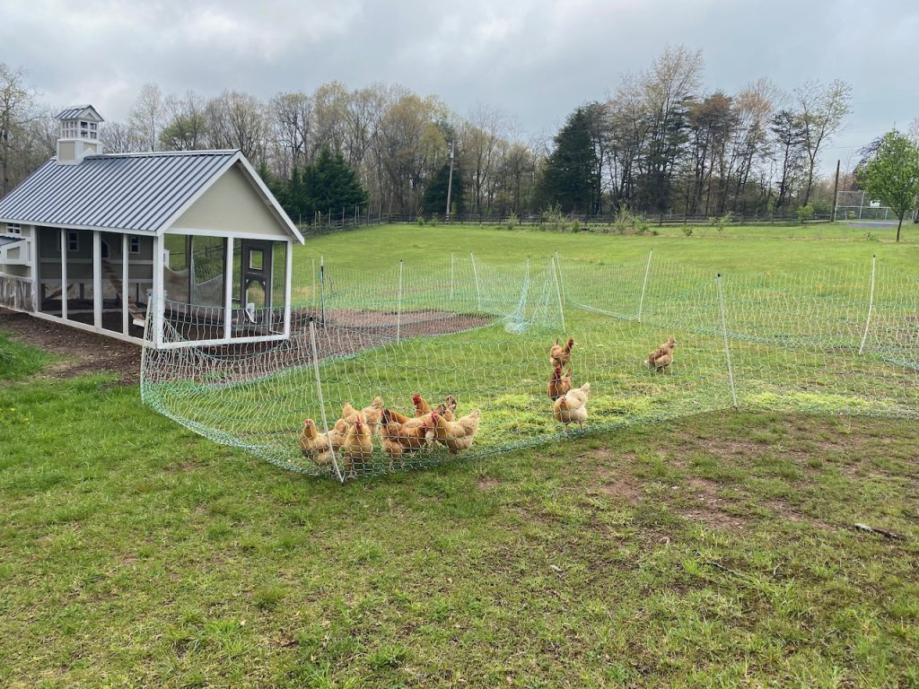 Hampshire County Farm Crawl 2022 - Chicken Coop and Run